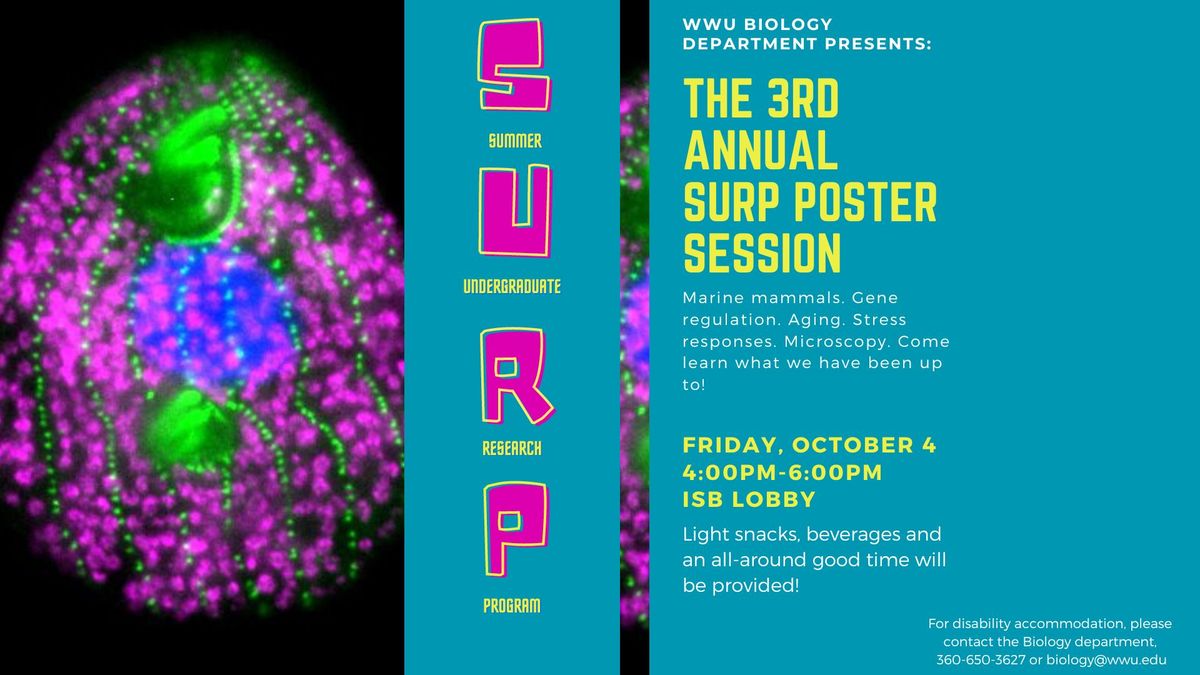 3rd Annual SURP Poster Session