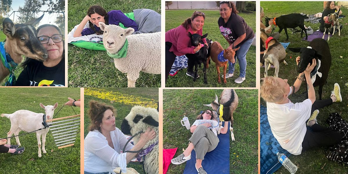 Goats and Sheep Snuggle Party and Sound Bath in the Park