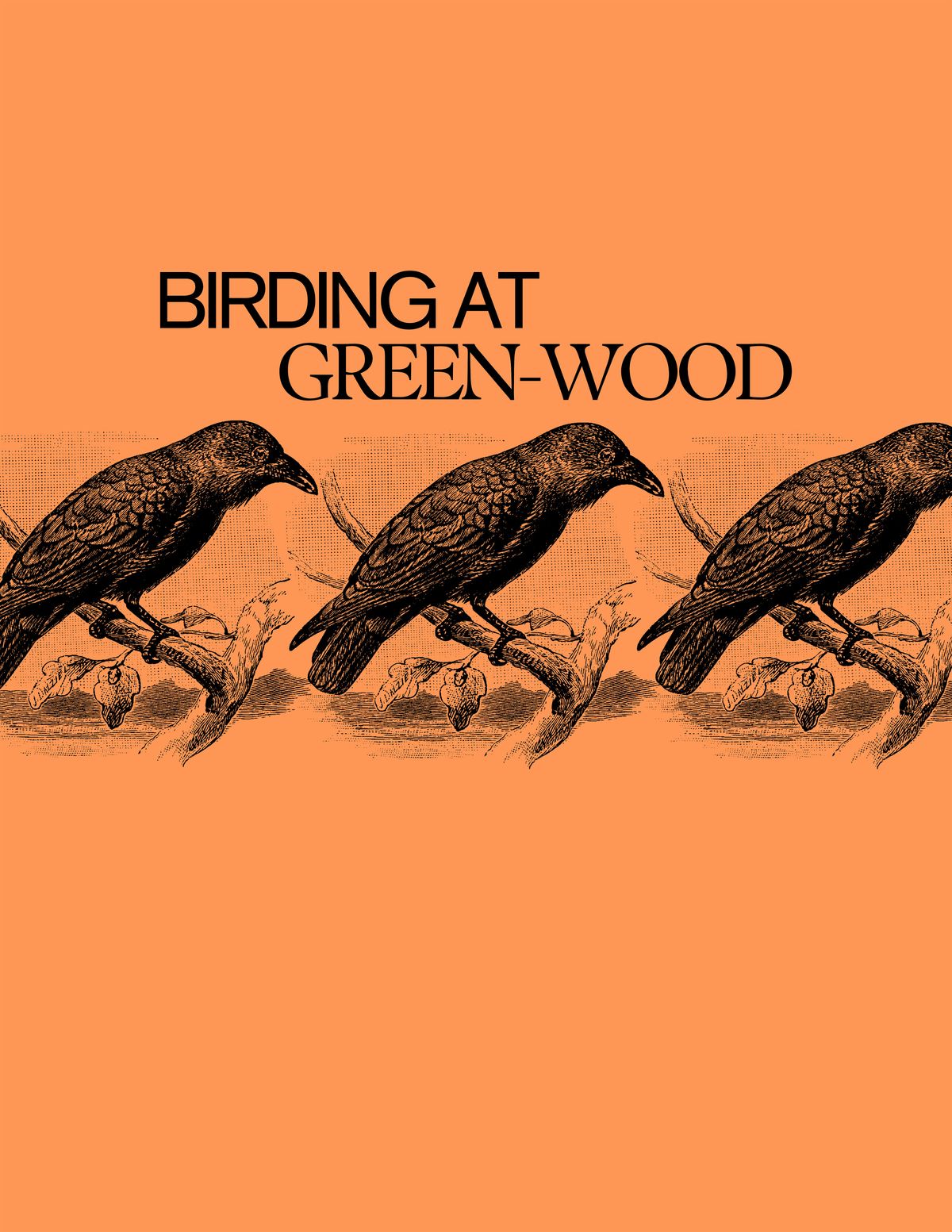 Birding at Green-Wood