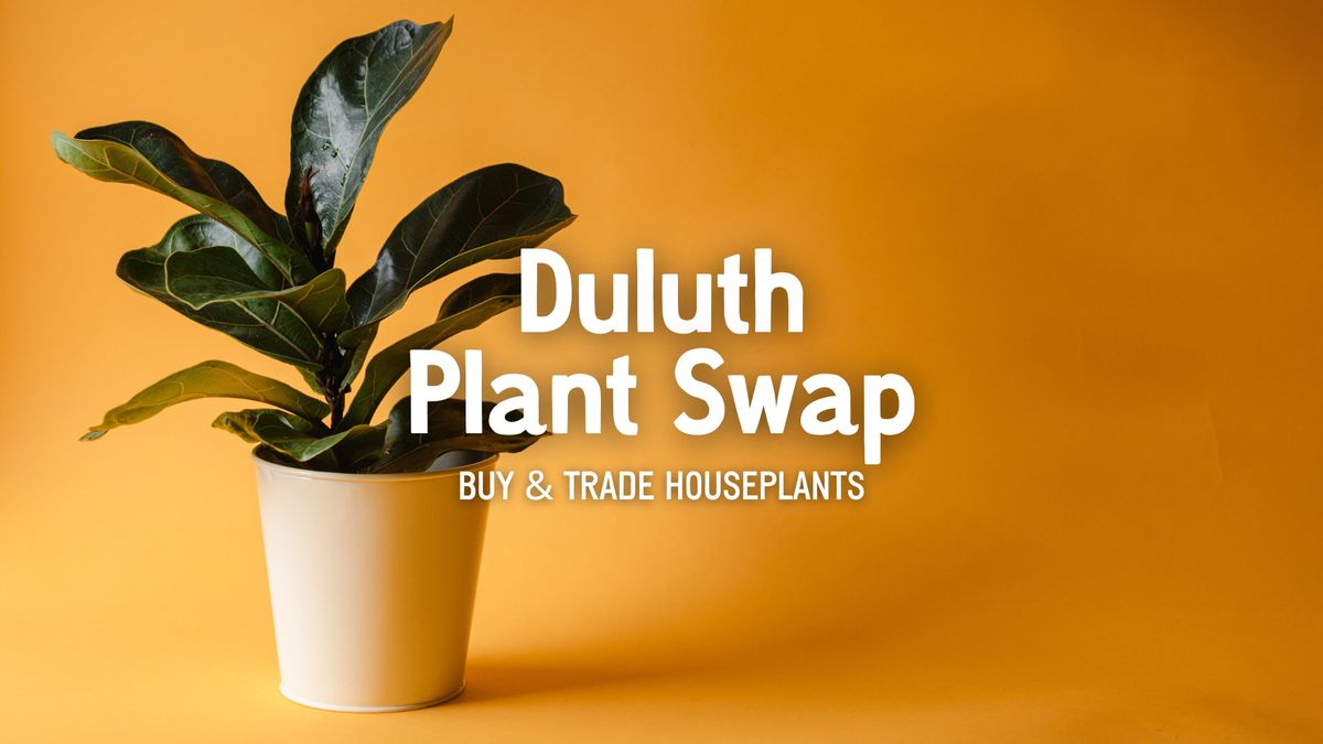 Duluth Plant Swap