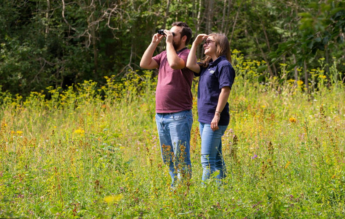 Bird Walk Around Thatcham Lakes - December