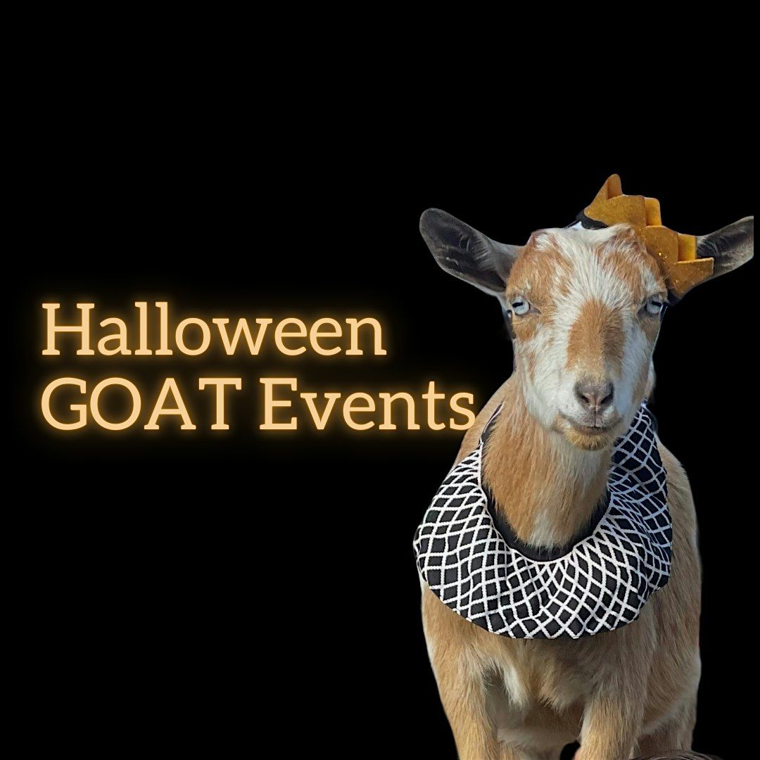 Halloween Costume Goat Yoga