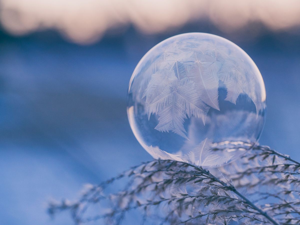 A Winter Solstice Celebration!