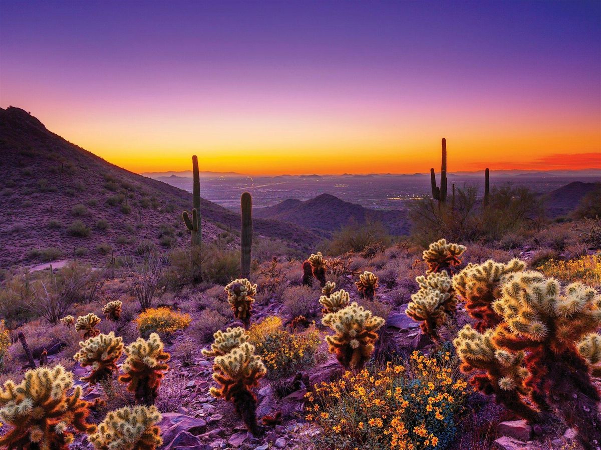 Scottsdale Career Fair