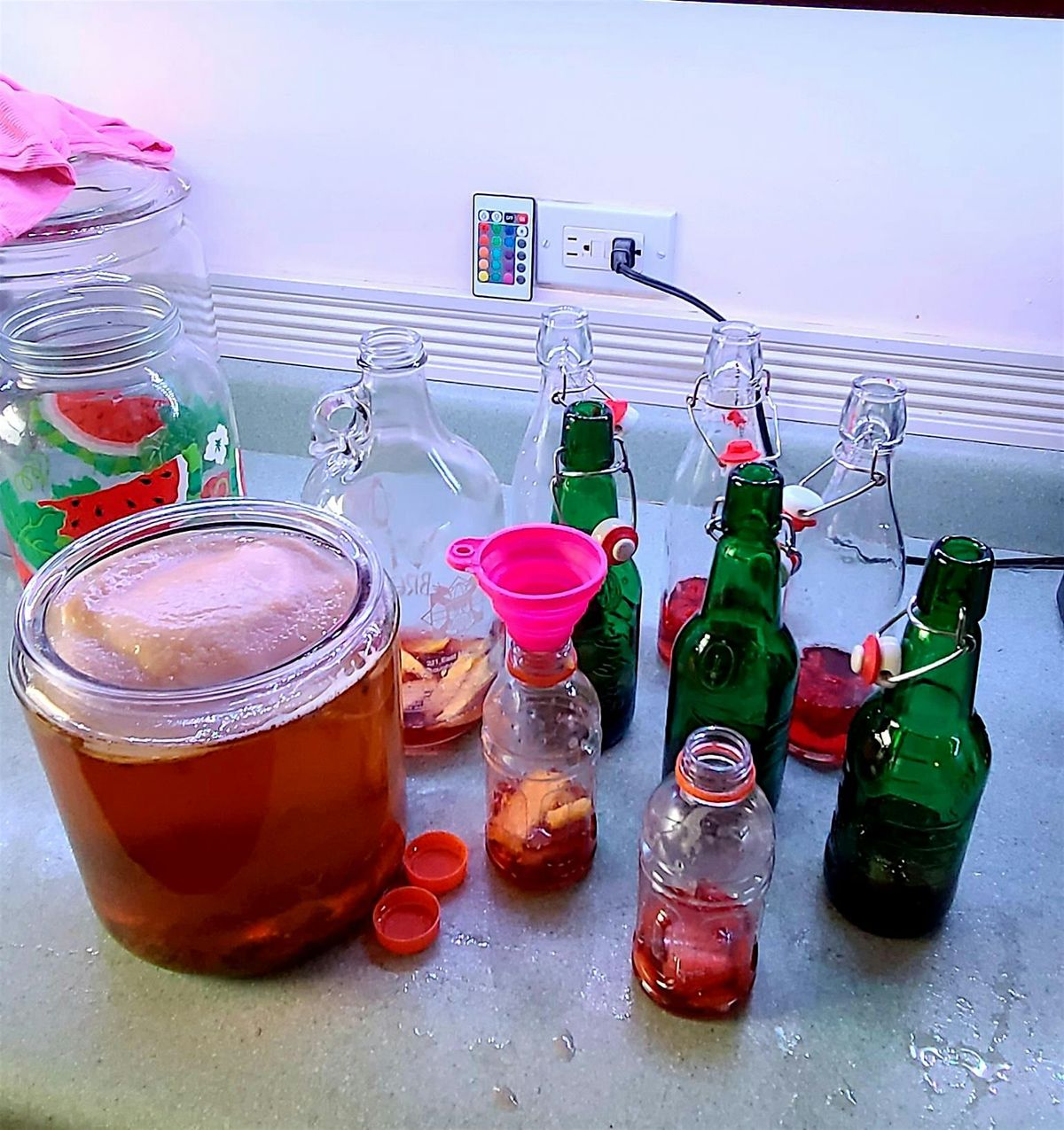 Learn How to Brew Kombucha & Jun