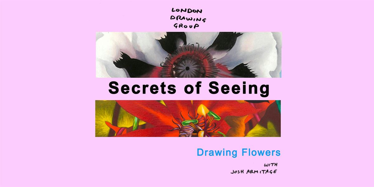 SECRETS OF SEEING: Drawing Flowers