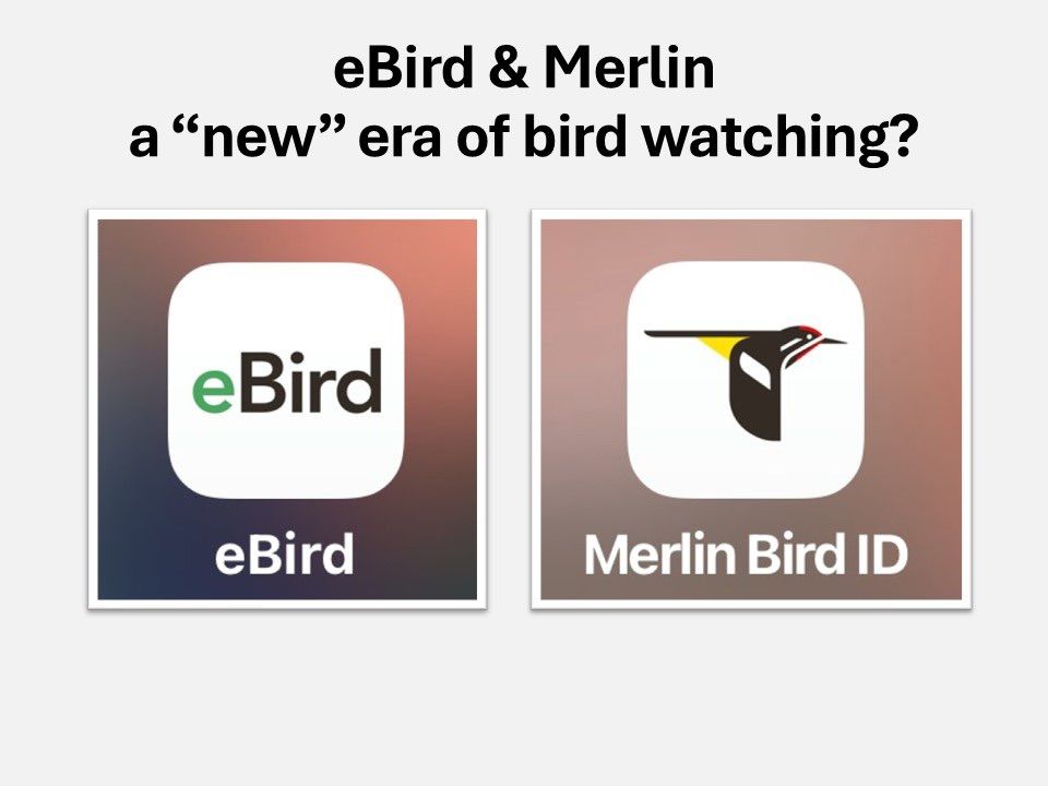 eBird and Merlin - A New Era In Bird Watching