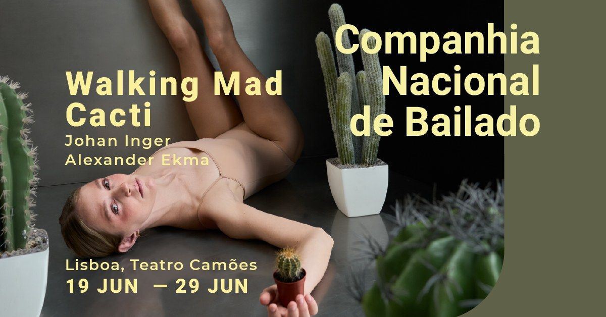 Walking Mad\/Cacti com Quarteto de Cordas de Matosinhos :: Inger, Ekman :: CNB 2024\/2025