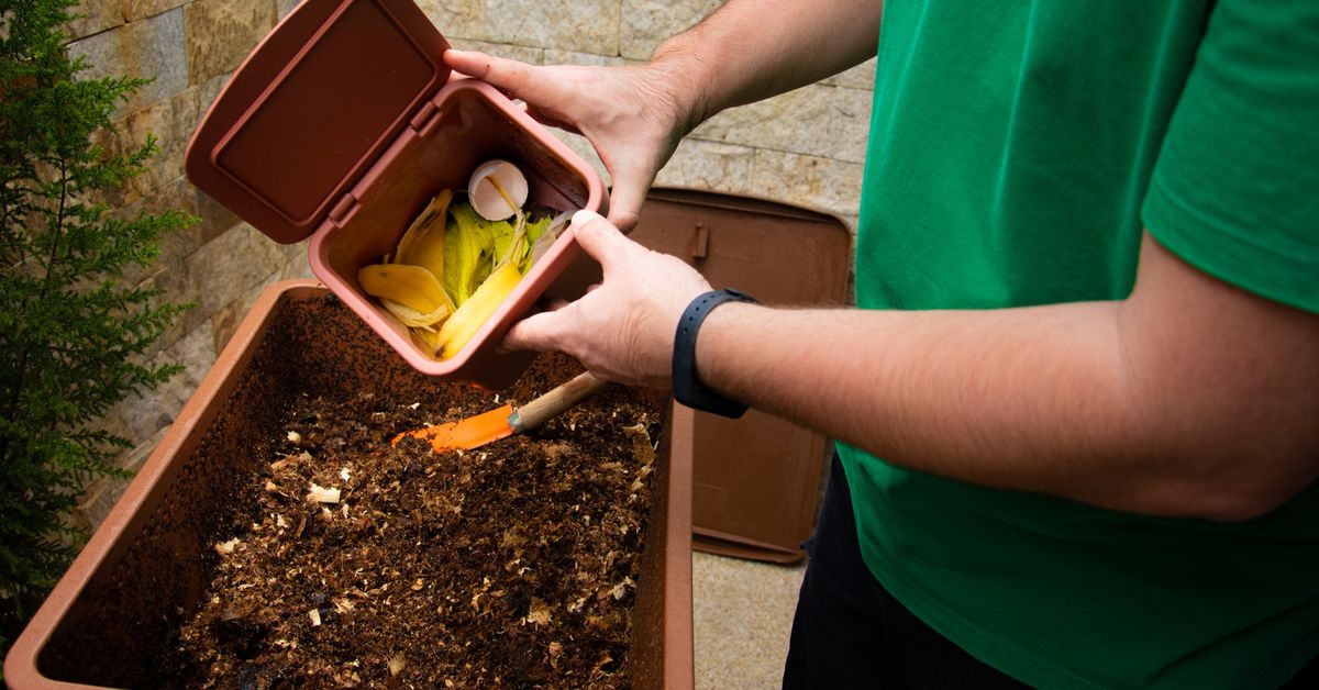 Composting for Beginners