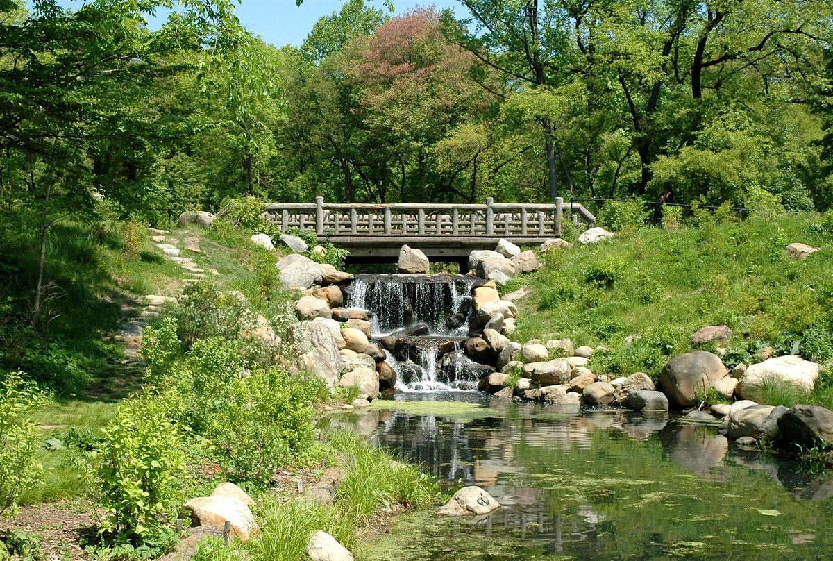 Prospect Park Wellness Walk