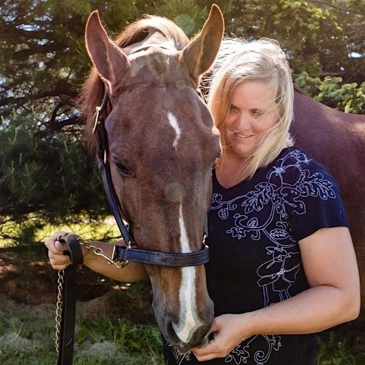 Adult Horse Riding Classes