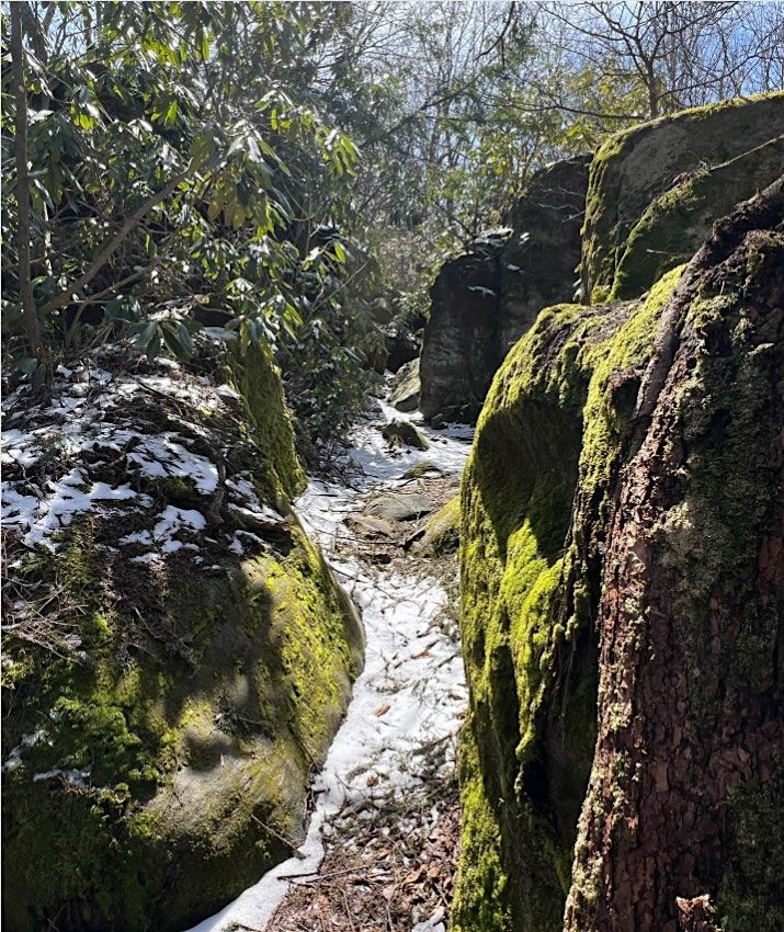 52 Hike Challenge Pennsylvania Chapter in Forbes State Forest