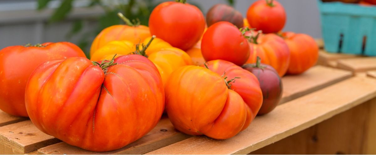 Boulder Farm Stand 