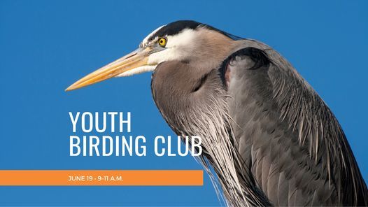 June Youth Birding Club
