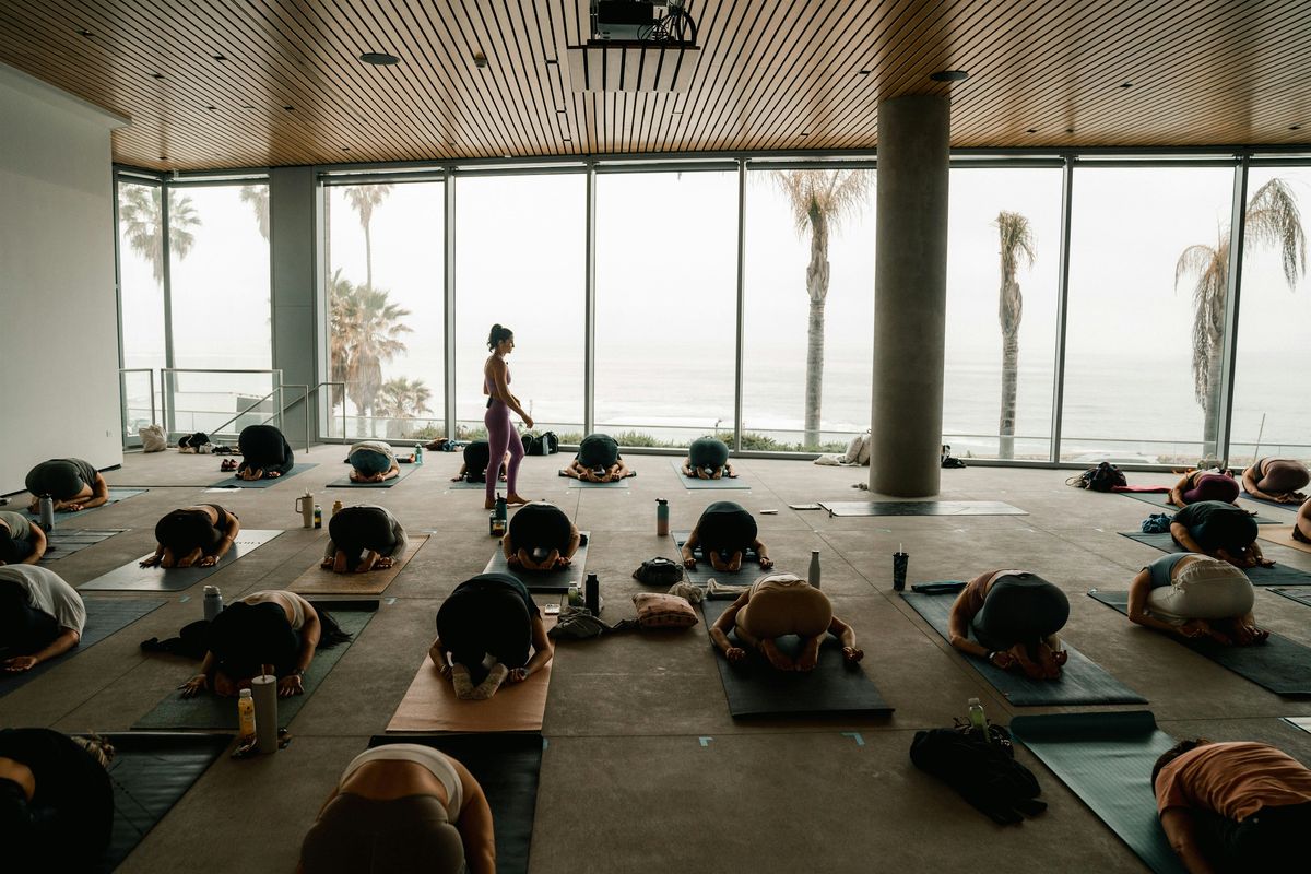Wellness Experience at MCASD