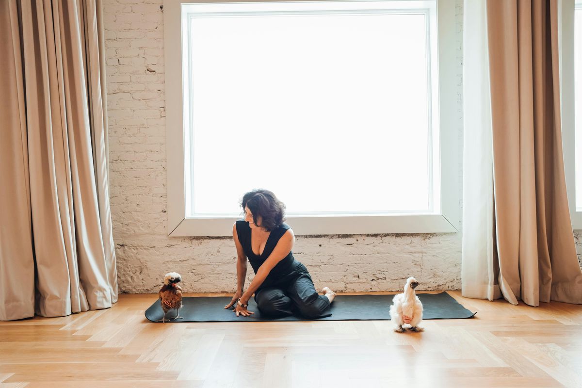 Chicken Yoga with Yoga Loft Tampa and Ybor Misfits