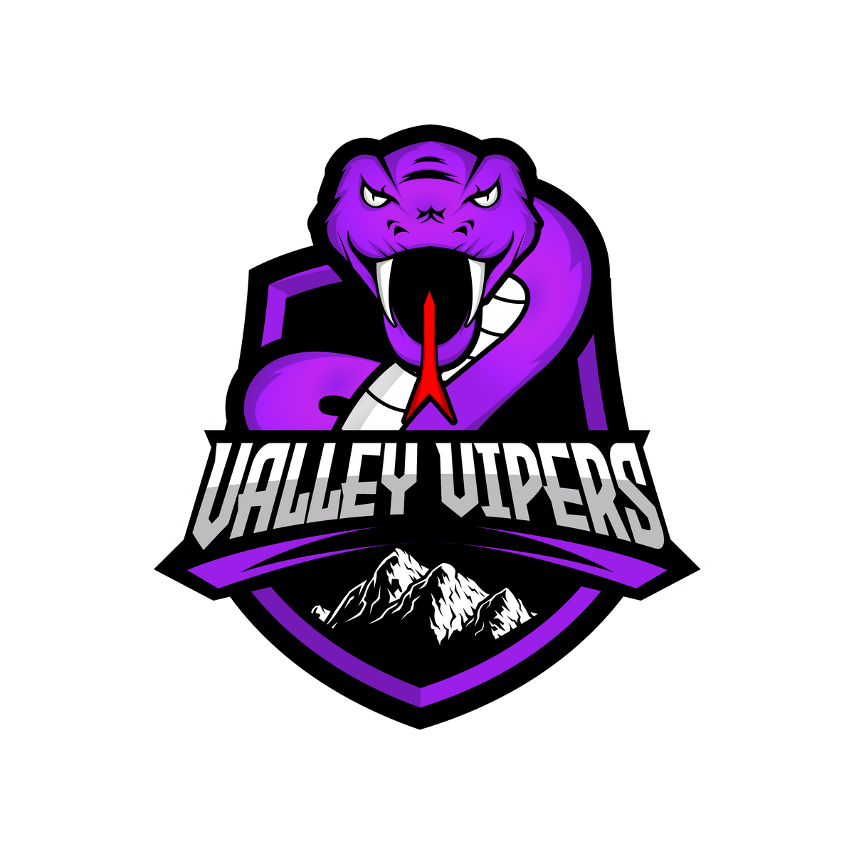 VIRGINIA VALLEY VIPERS PROFESSIONAL BASKETBALL TRYOUTS-TBL 2023 SEASON