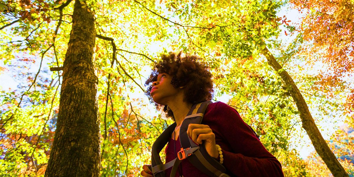 Fall Foliage Walk