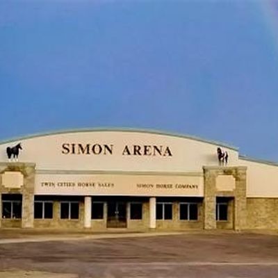 Simon Arena