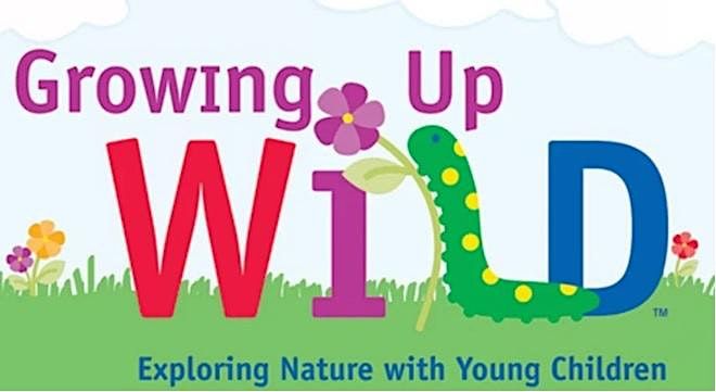 Growing Up WILD: Less is More