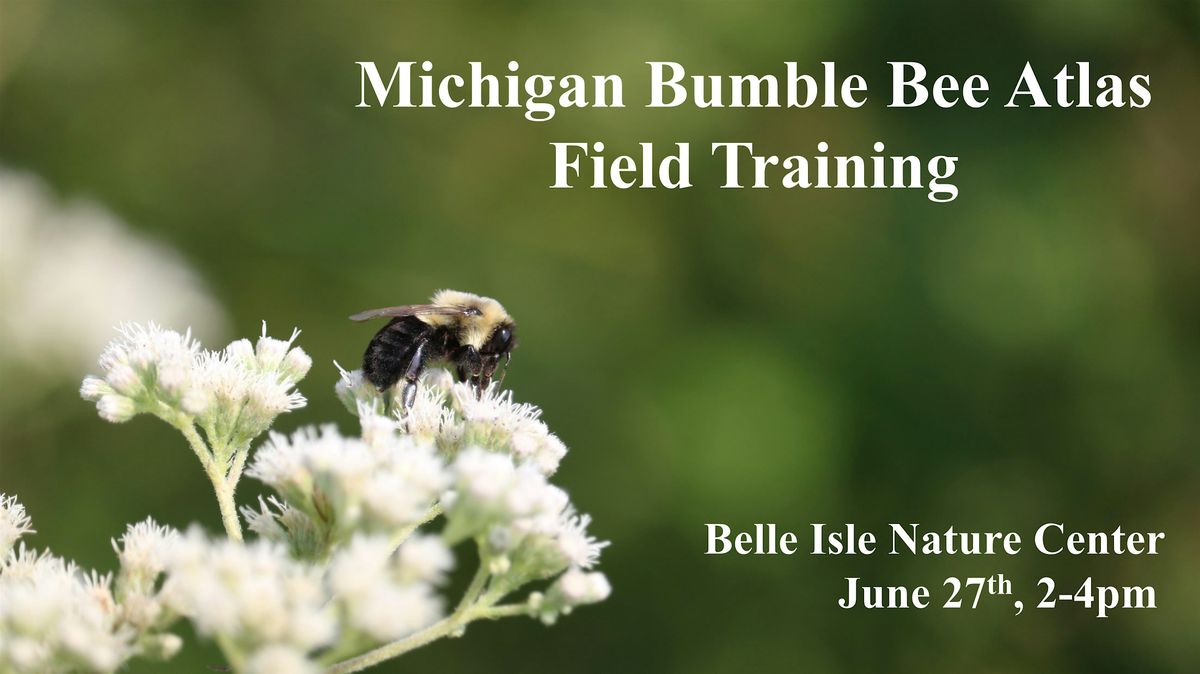 Michigan Bumble Bee Atlas Field Training