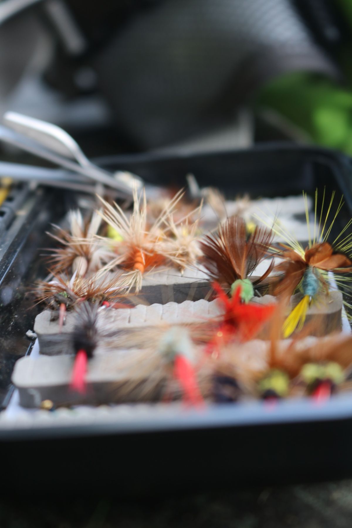 Fly Fishing 101: Introduction to Fly Fishing