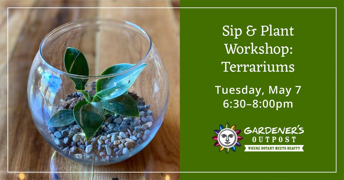 Sip and Plant Workshop:  Terrariums!