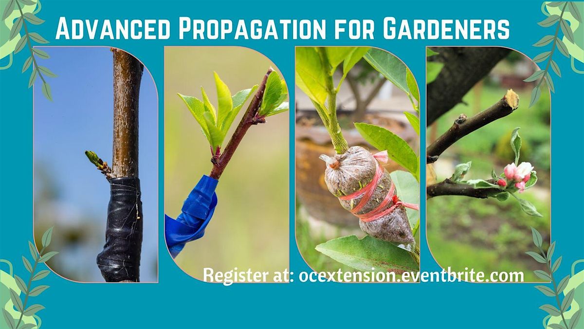 Advanced Propagation for Gardeners (In-Person class)