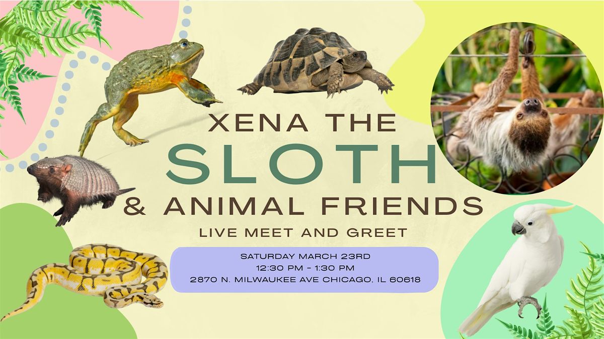 Meet & Greet w\/ Xena the Sloth & Her Animal Friends