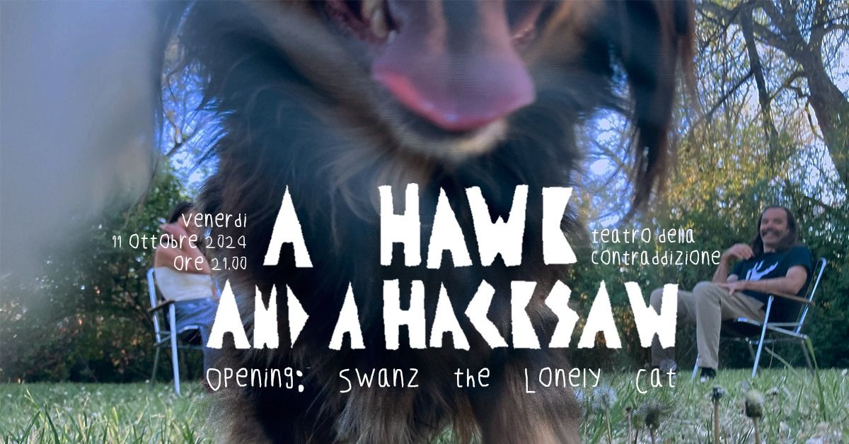 A HAWK AND A HACKSAW live (opening Swanz the Lonely Cat)