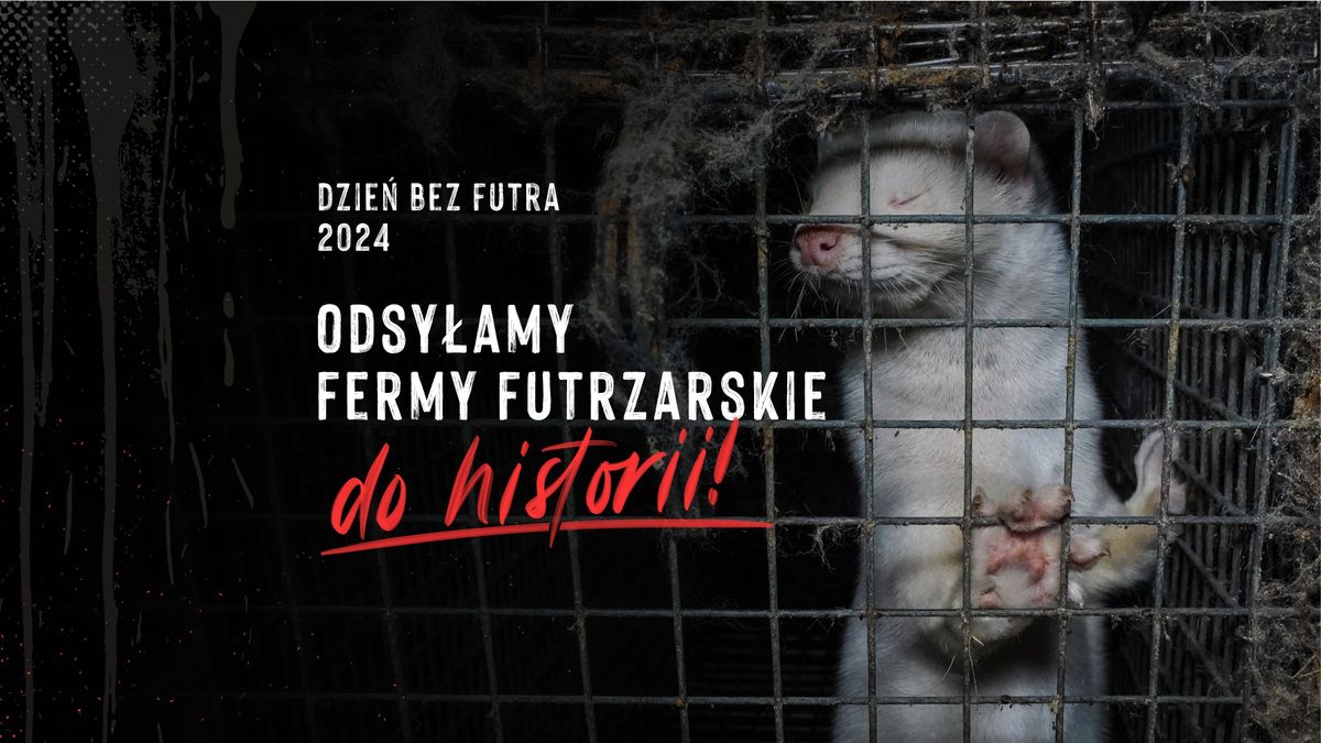 DZIE\u0143 BEZ FUTRA 2024: Odsy\u0142amy fermy futrzarskie do historii!\u270a 