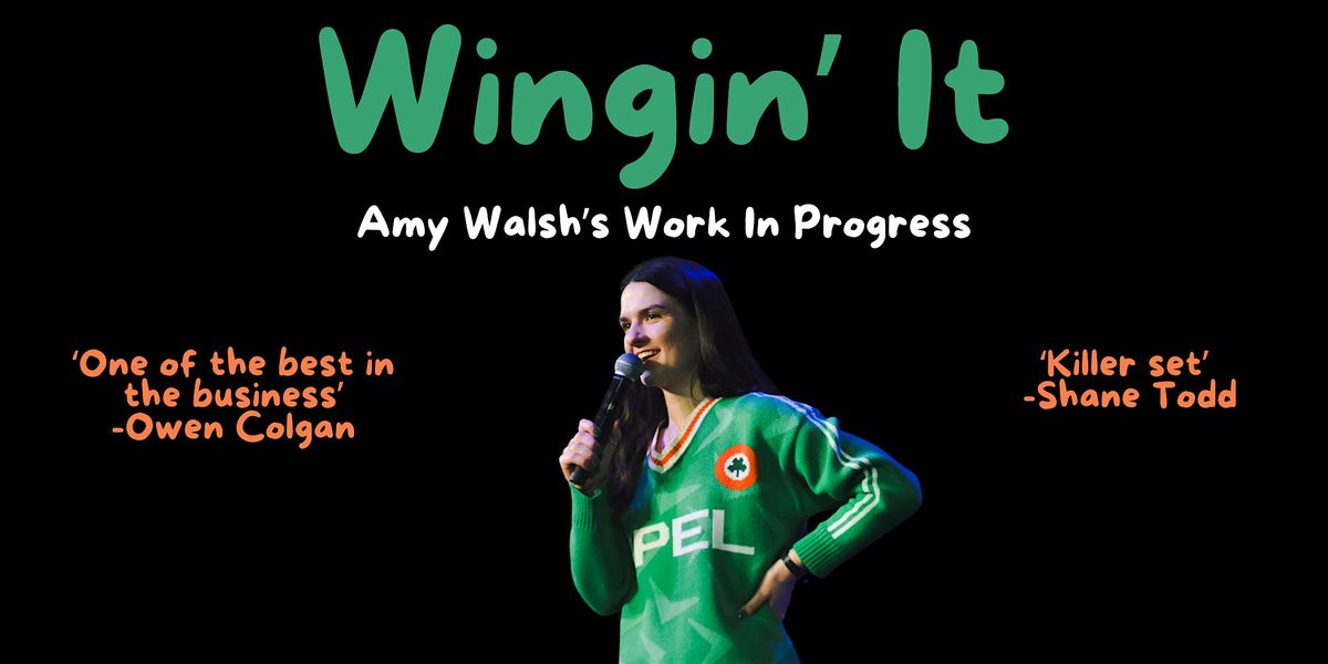 Wingin' It - Amy Walsh's Work In Progress - King's Head, Galway