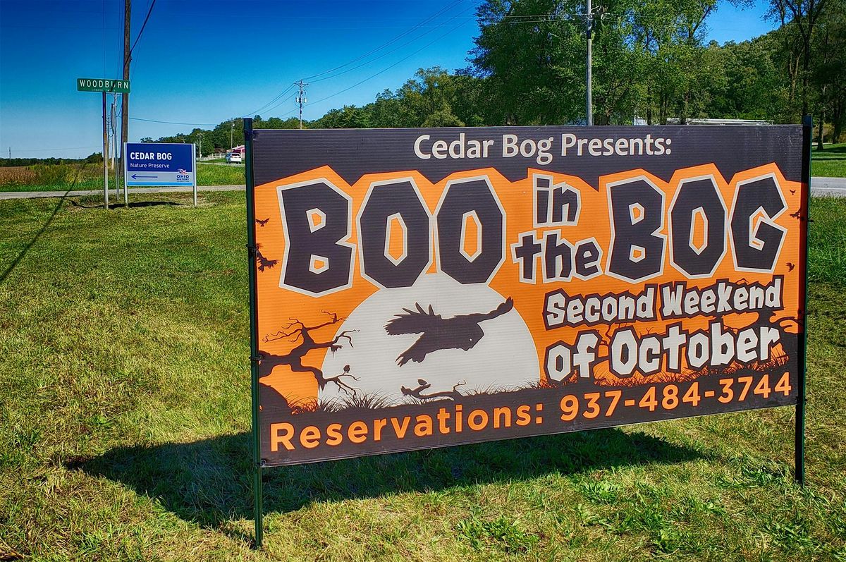Boo in the Bog