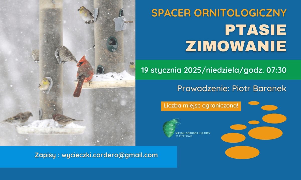 \u201ePTASIE ZIMOWANIE\u201d\/SPACER ORNITOLOGICZNY