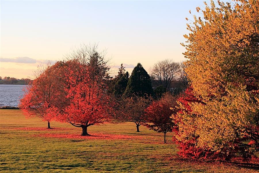 Fall Sunset Tour