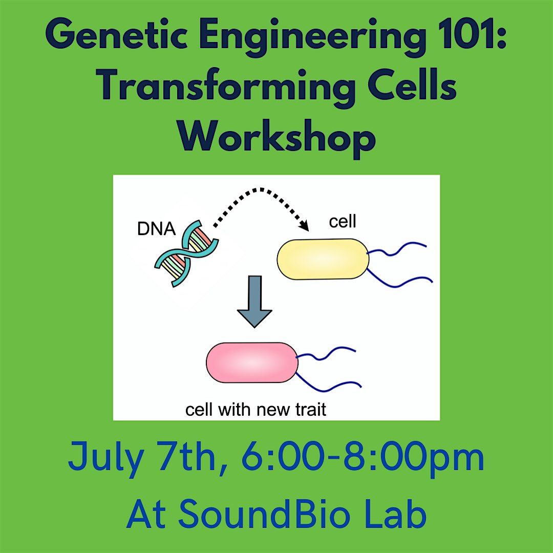 Genetic engineering 101: Transforming Cells