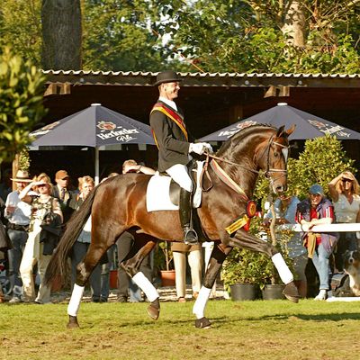 Equinimity Productions