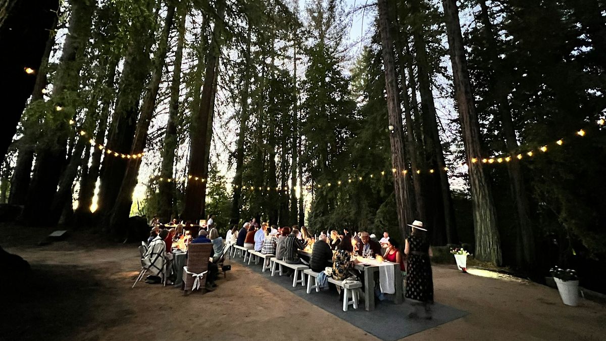 Wine Pairing Dinner in the Redwoods