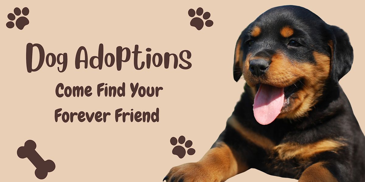 Dog Adoptions!