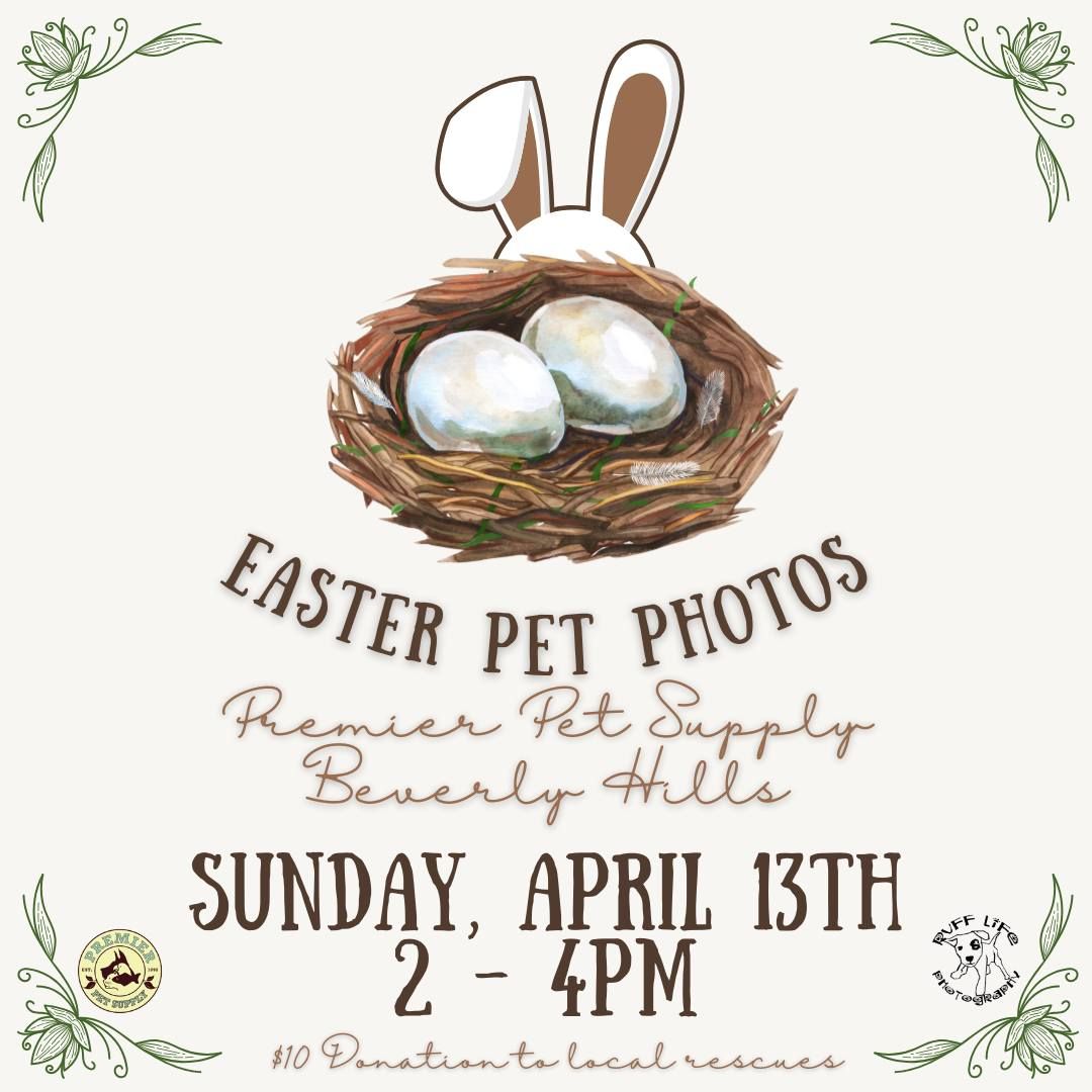 Easter Pet Photos W\/ Ruff Life Photography!