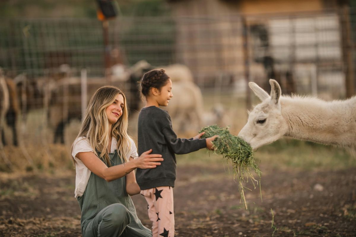 Community Llama & Goat Farm Open House