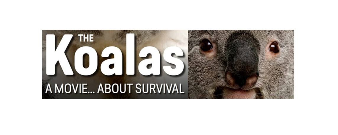 'The Koalas' documentary screening - New Farm- Special Speakers Q&A afterwards