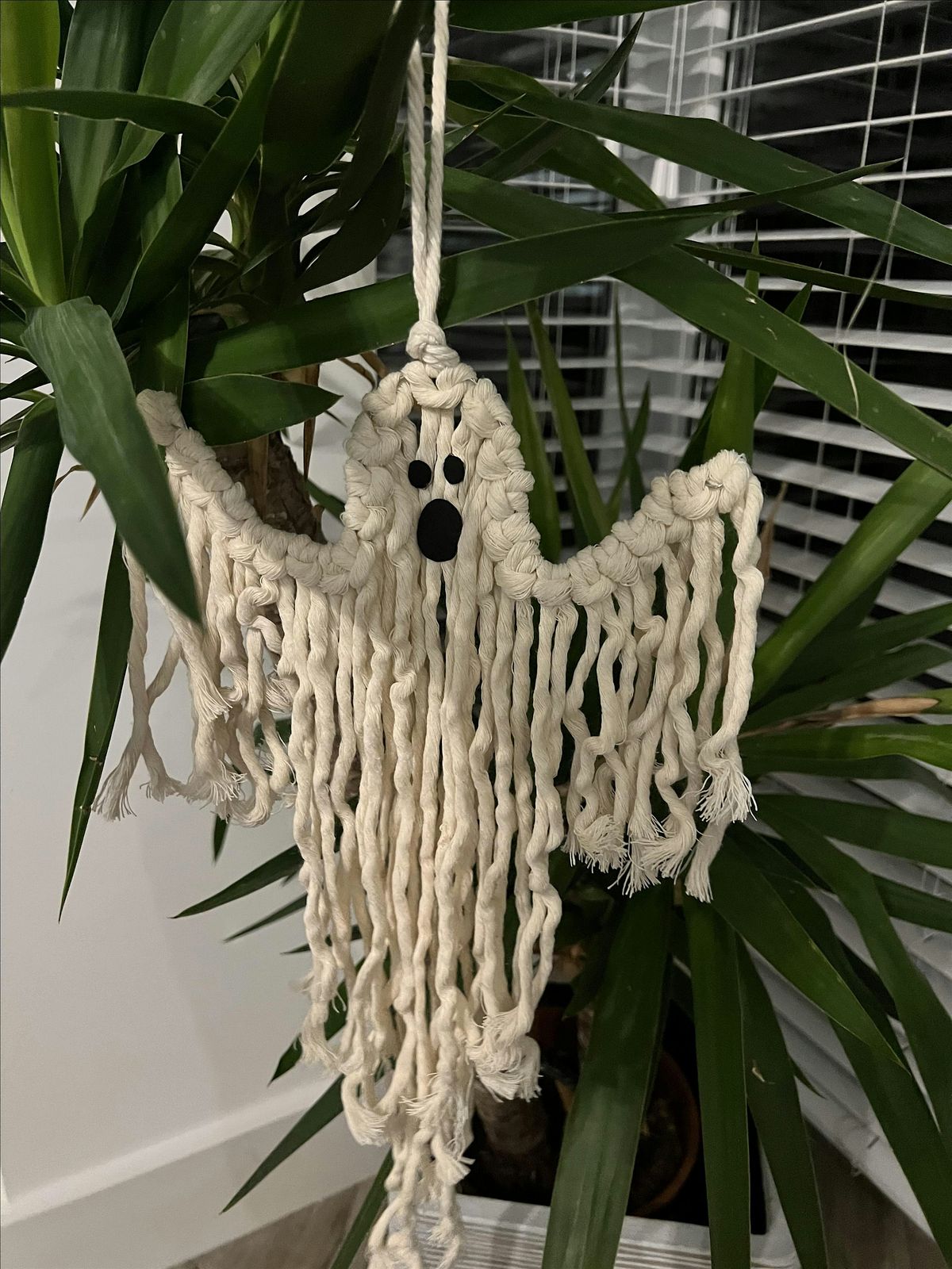 Macrame Ghost Hanger, dinner & bottle of wine