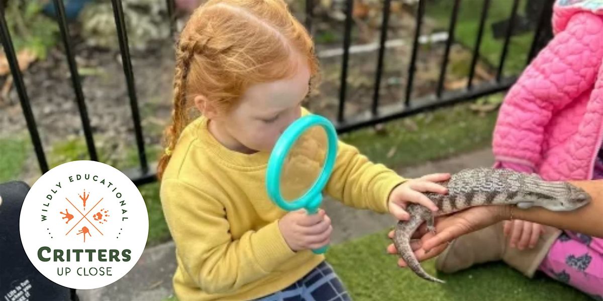 Critters Up Close Mini Beasts @ Civic Square Library