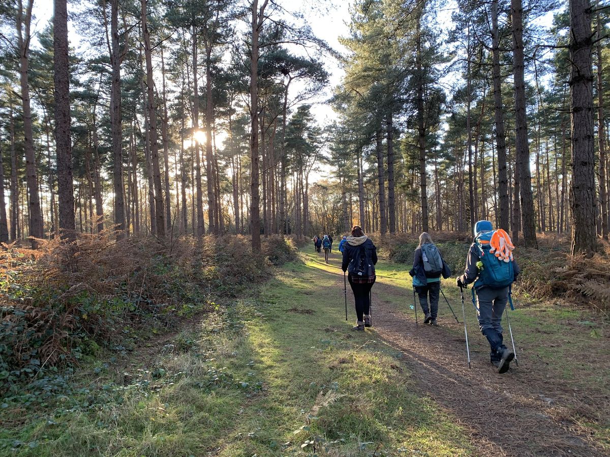 Exploring Epping Forest - 16km hike - Queens hunting lodge and Jacks Hill