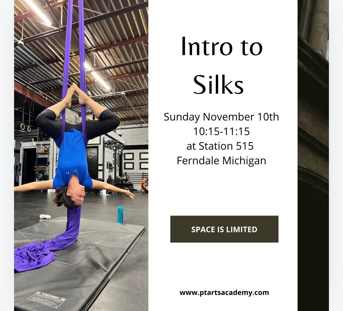 November Intro to Silks Workshop 