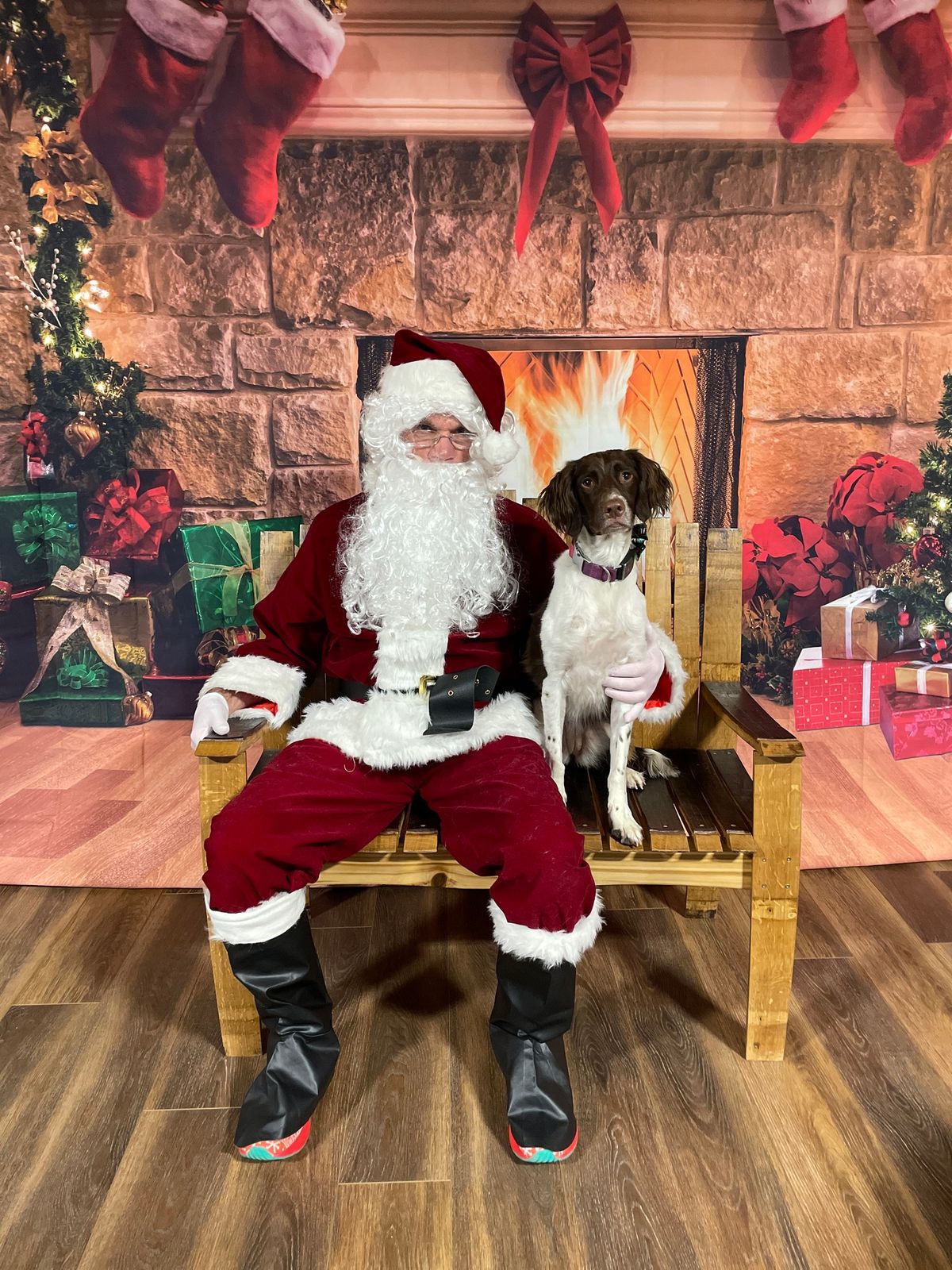 Pet Photos with Santa or the Grinch