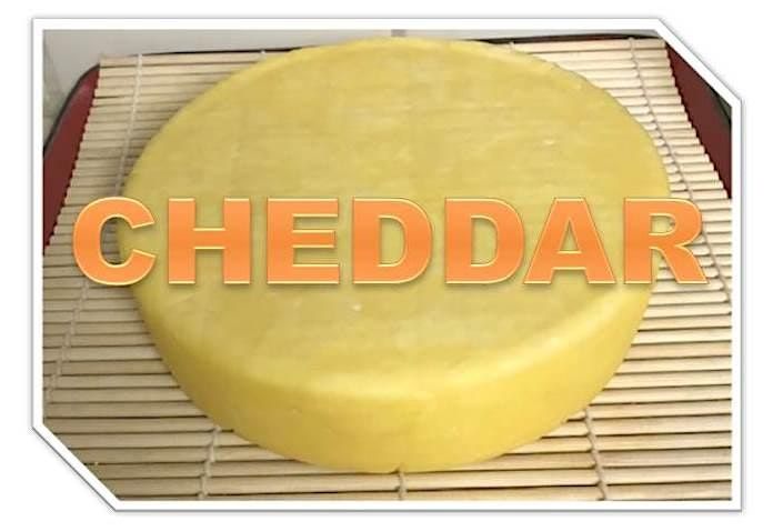 Cheesemaking - CHEDDAR