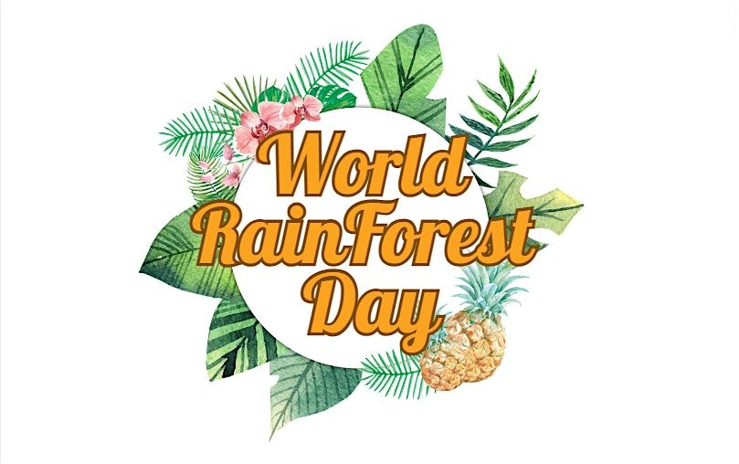World Rainforest Day Children's Craft @ Chingford Library