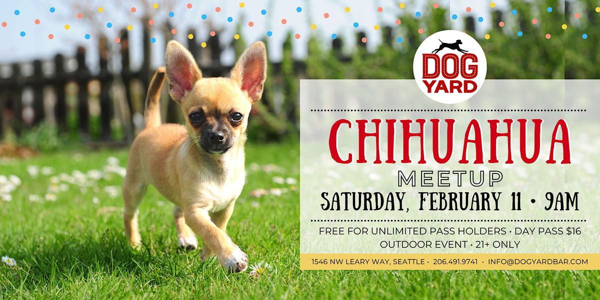 Chihuahua Meetup at the Dog Yard Bar in Ballard - Saturday, February 11